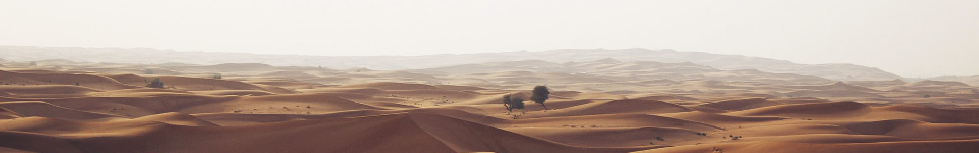 ݳذǬó޹˾